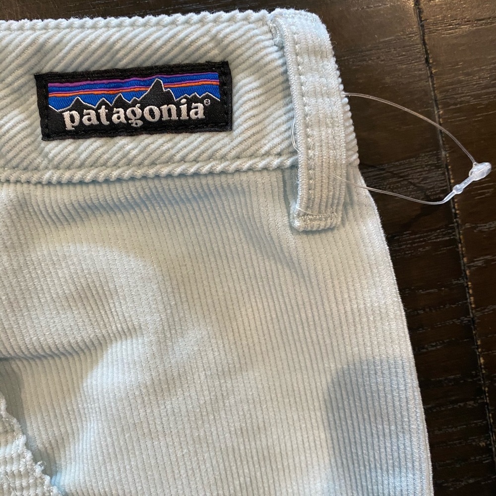 NWOT Blue Patagonia Stand Up Corduroy Shorts